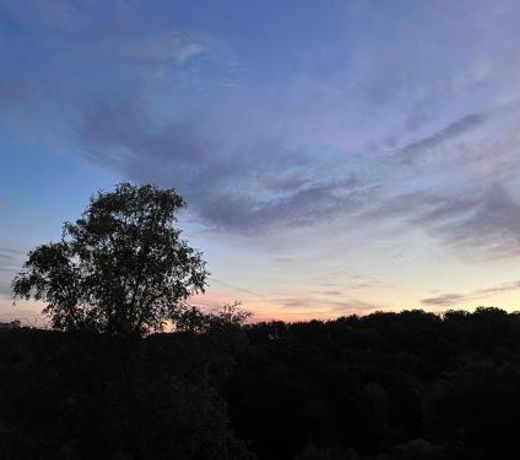 Ferienwohnungen Waldblick