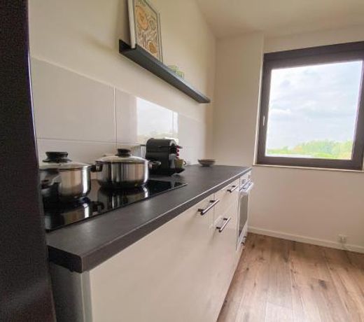 Schöne Wohnung mit Rheinblick/Düsseldorf/Neuss/Messe