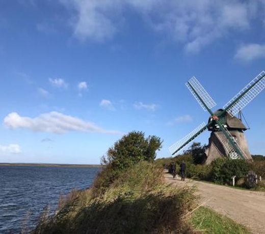 Holtdeel
