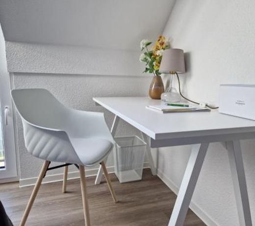 Stadt-Appartement Work & Travel