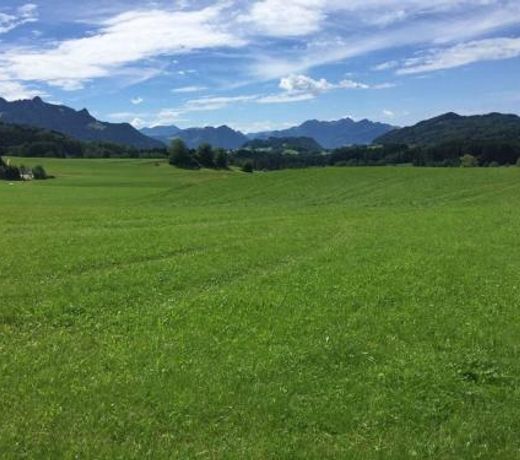 Appartement Aldea