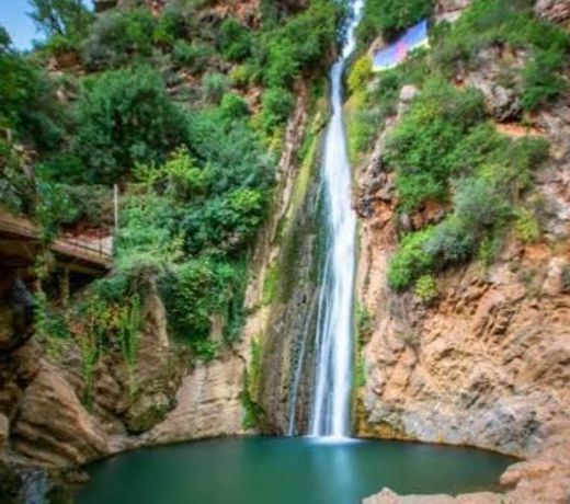 BEJAIA Location T3 Appartements