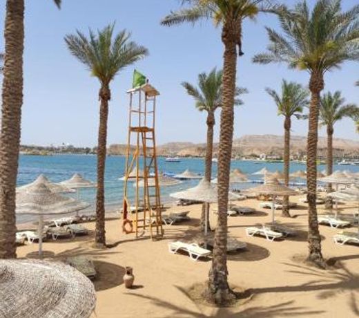 Seti Sharm Palm Beach Resort Families and couples only