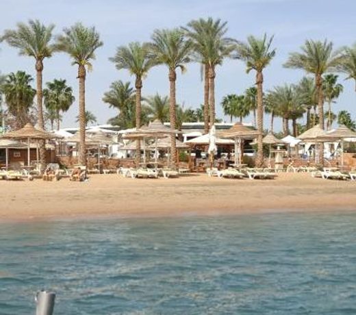 Seti Sharm Palm Beach Resort Families and couples only