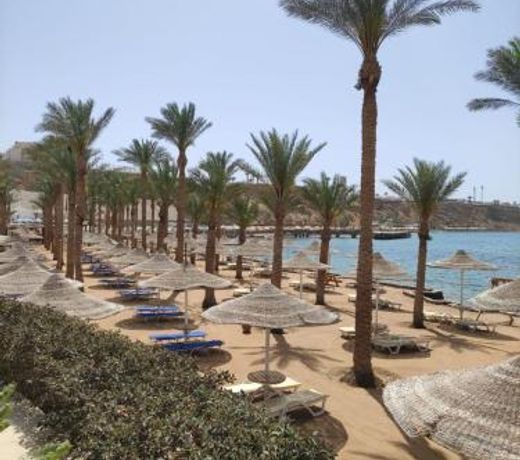 Seti Sharm Palm Beach Resort Families and couples only