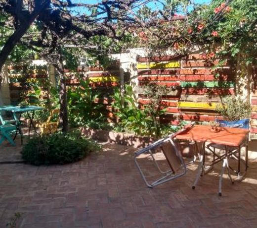 Jaracanda Hostel San Marcos