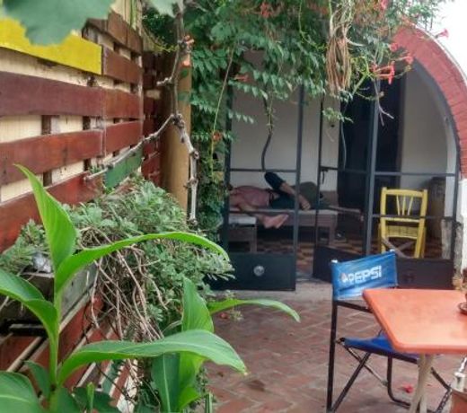 Jaracanda Hostel San Marcos