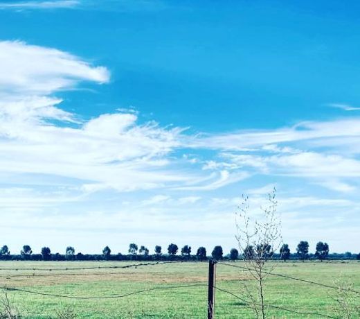 Wings Field - relaxing family farm stay