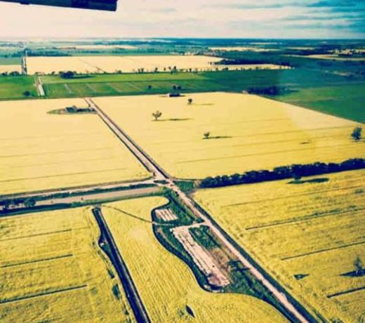 Wings Field - relaxing family farm stay