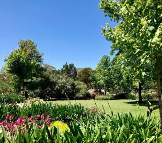 Seppeltsfield Vineyard Retreat