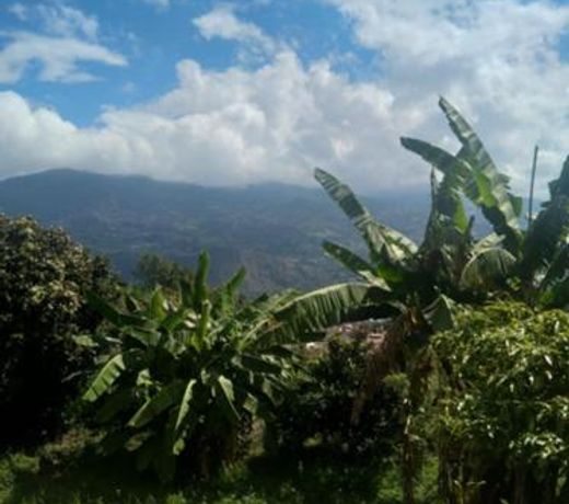 Hospedaje Roca Firme