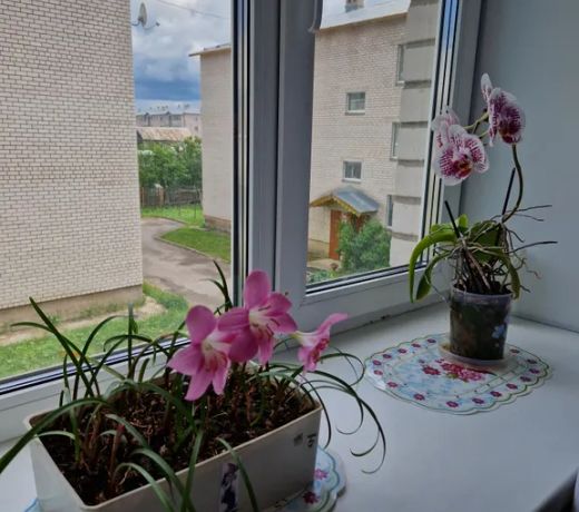 1-komnatnaa kvartira