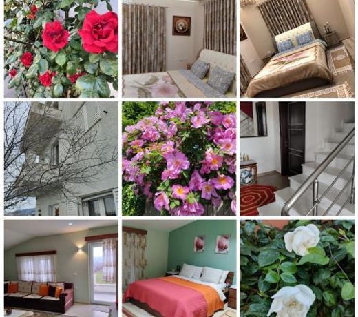Beautiful 1-Bed House in Korce