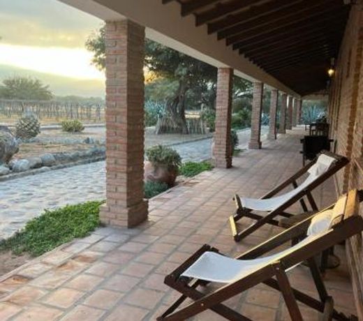 La Vaca Tranquila