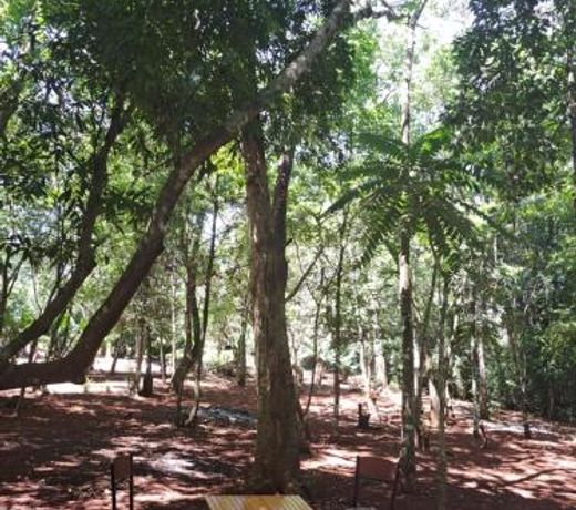 CabaÃ±as Libertad en Misiones