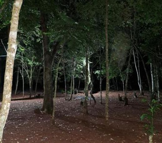 CabaÃ±as Libertad en Misiones