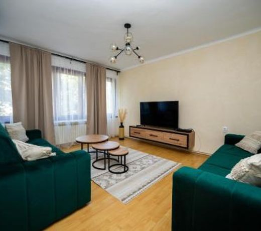 Cozy One-bedroom Apartment near City Center