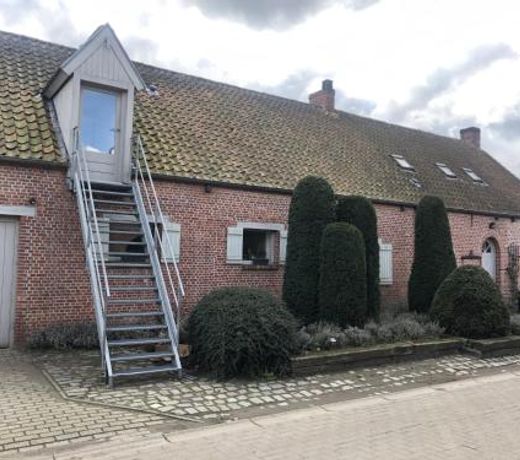 slapen bij alpacas