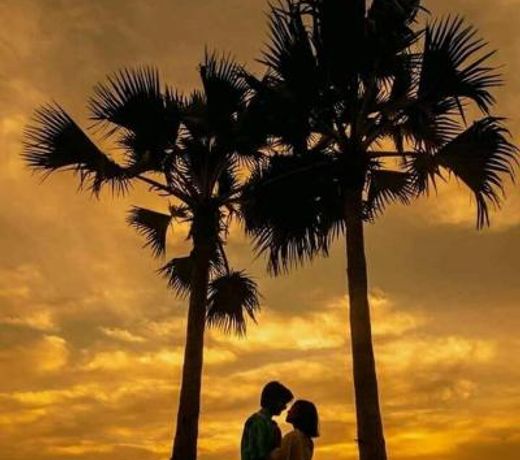 Coastal Bay Suite & Golf Cart Rental
