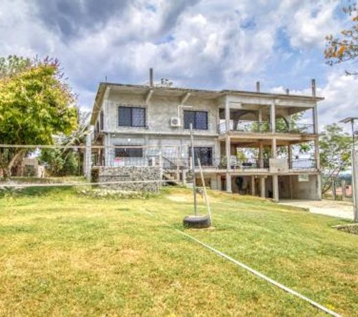 D Borland View Gold Standard Certified