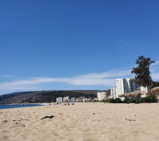 Acceso directo y a pasos de la playa grande Papudo