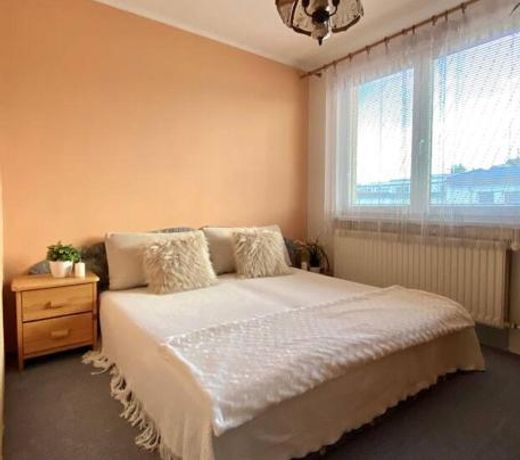 Apartman Paja
