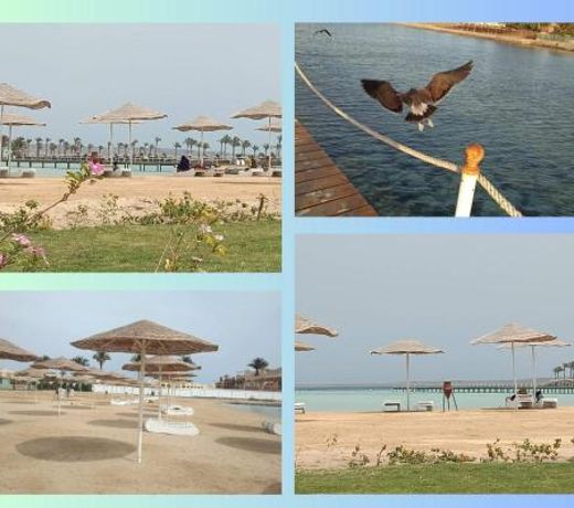 Scandic Resort: Comfy & Cozy. A433