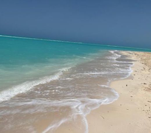 Tolip Resort Sunrays New- Alamein