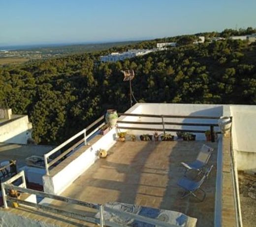 Casa Nayib