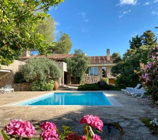 Luxury home Paraiso with pool and gym