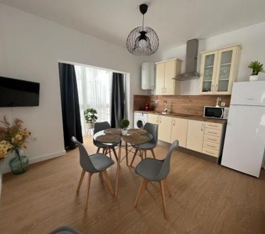 apartamentos Larios centro