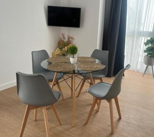 apartamentos Larios centro