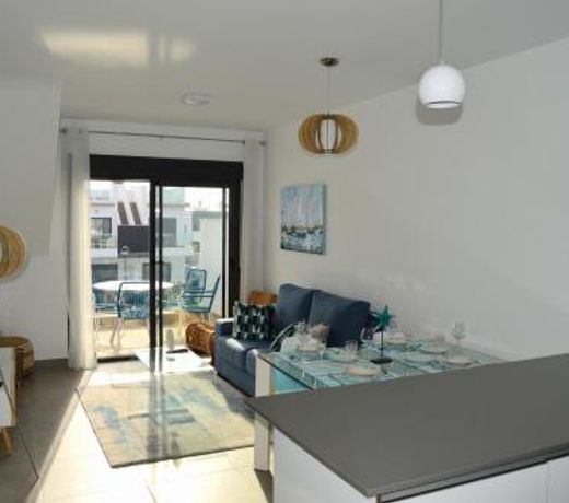 Apt with Roof Terrace Pilar De La Horadada