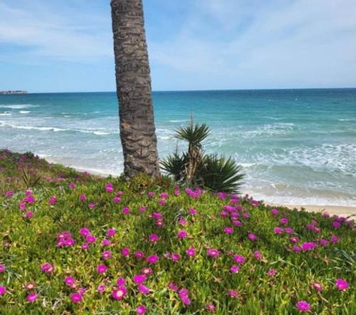 Casa Magdalenka, Mil Palmeras area, 800 m to the sea plus communal swimming pool