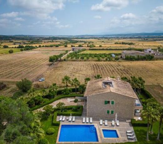 El Palmeral