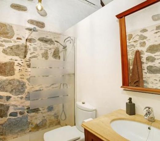 La casa nueva