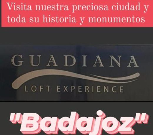 APARTAMENTO TURISTICO GUADIANA LOFT EXPERIENCE