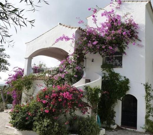 Casa Bella Sombra: Sea, Pool, Forest, Bikes