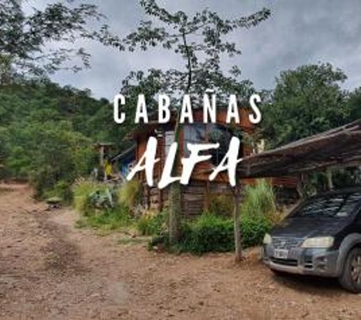 Hostel Alfa