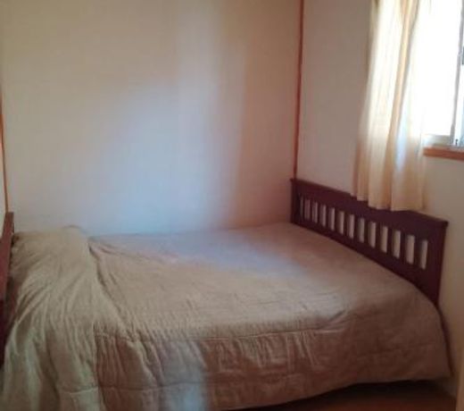 Hostel Alfa