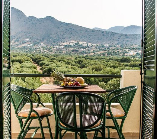 Elounda Olive Garden Studios