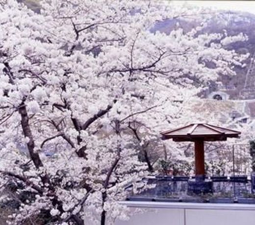 Unazuki Onsen Hotel Kurobe