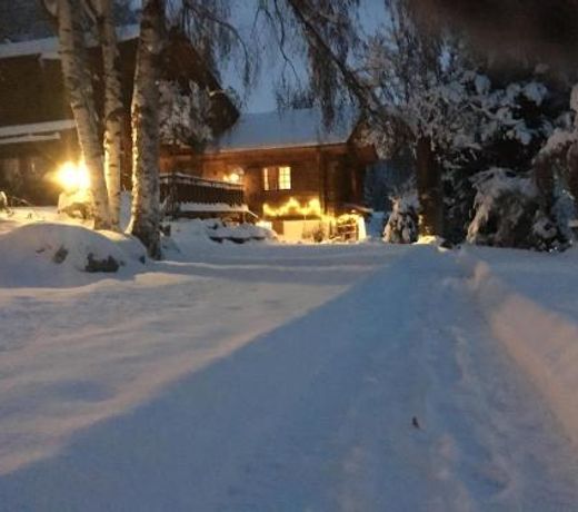 Chalet Les Rindes