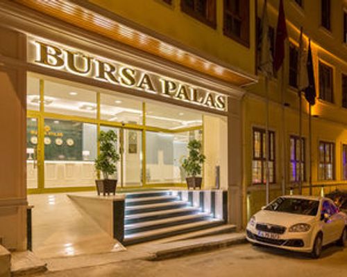 Bursa Palas Hotel - Бурса - фото 11