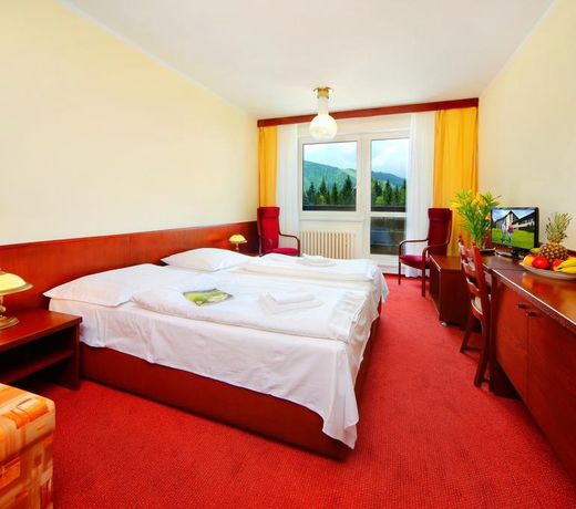 Wellness Hotel Svornost