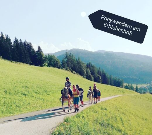 Erblehenhof