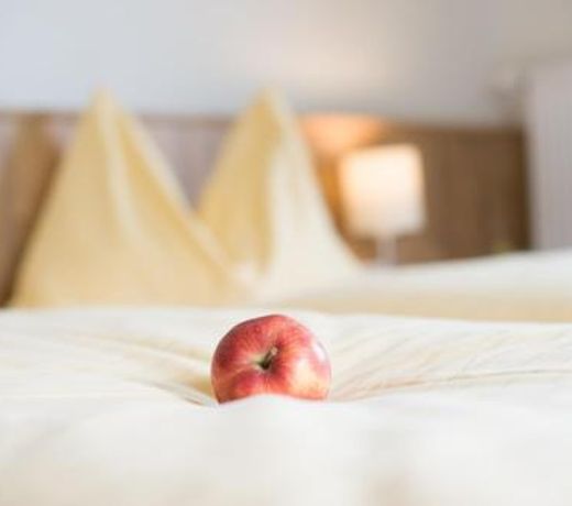 Landhaus Hubertus Wellness & Breakfast