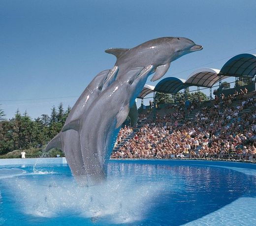 B&B HOTEL Antibes Sophia Antipolis