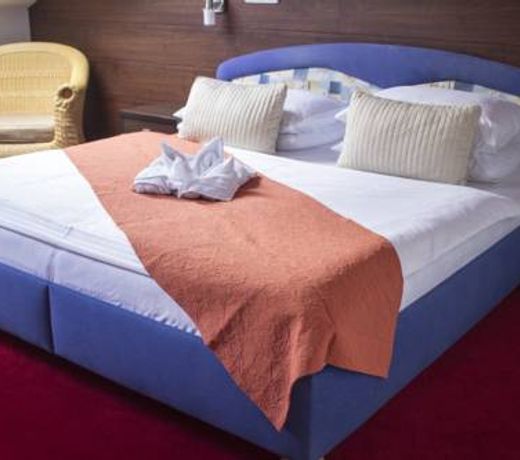 Hotel Slavie