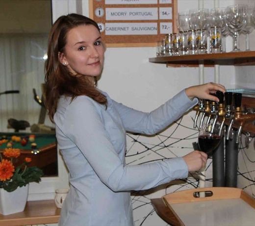 Bed & Breakfast Penzion Brno